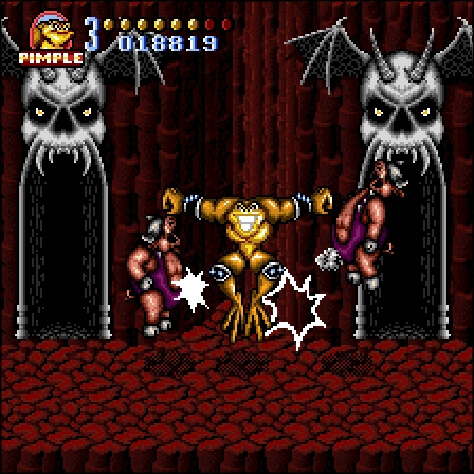 Battletoads in Battlemaniacs