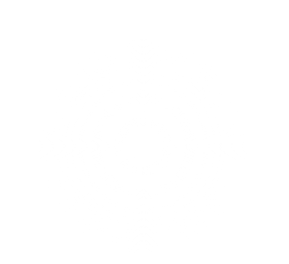 light bg v2